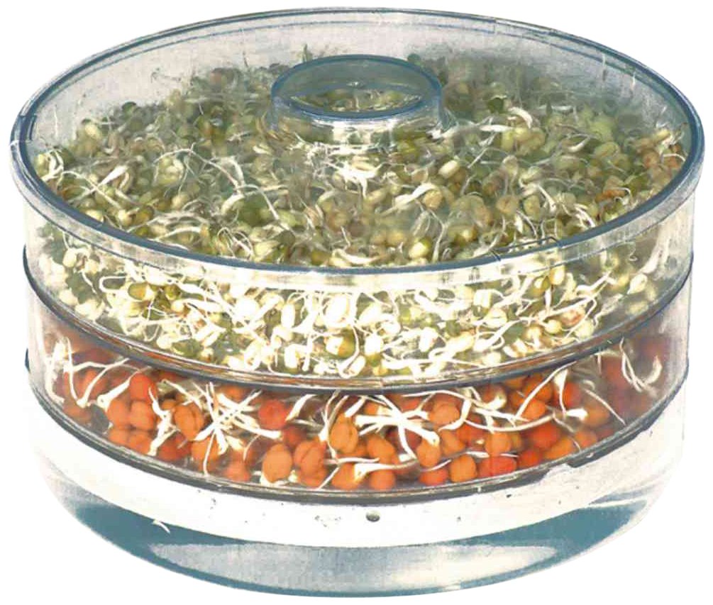 Crystal Quick Sprouter